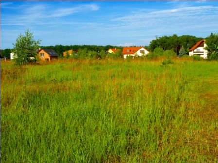 Prodej stavební parcely 955 m2 v Borku nad Labem